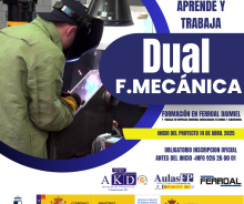 dual ferroal