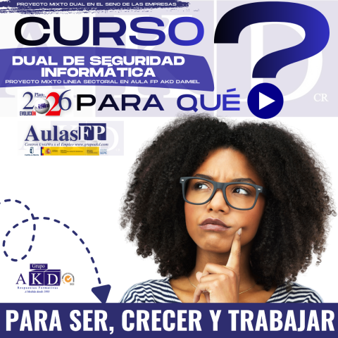 dual ciberseguridad