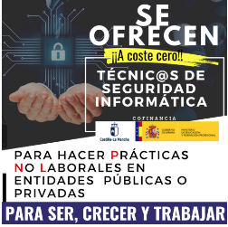 seguridad informatica